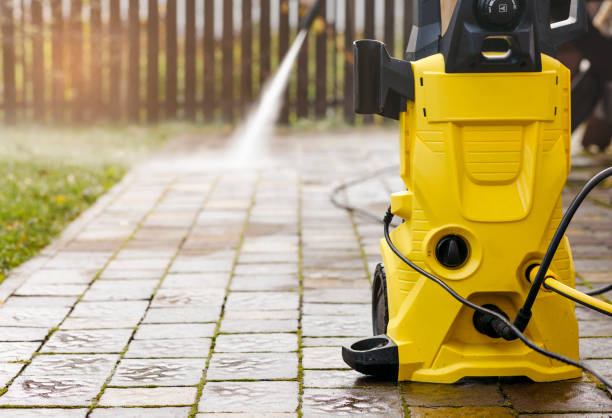 Animal Enclosure Cleaning in Williamsburg, FL