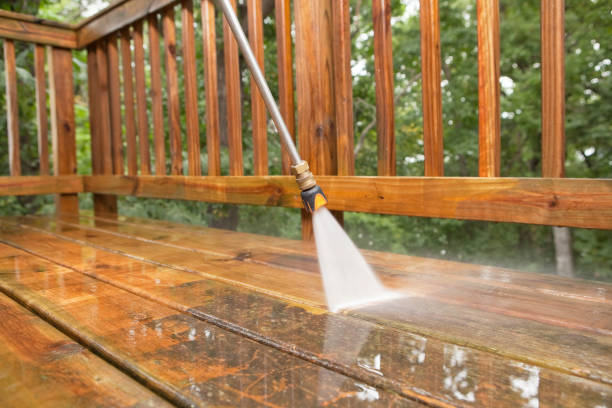 Best Factory Floor Cleaning  in Williamsburg, FL