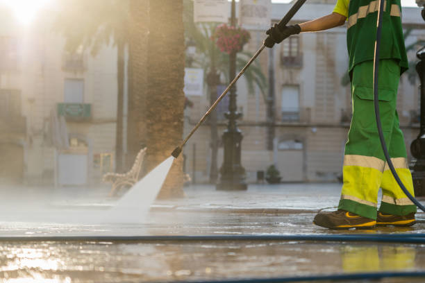 Best Solar Panel Cleaning  in Williamsburg, FL